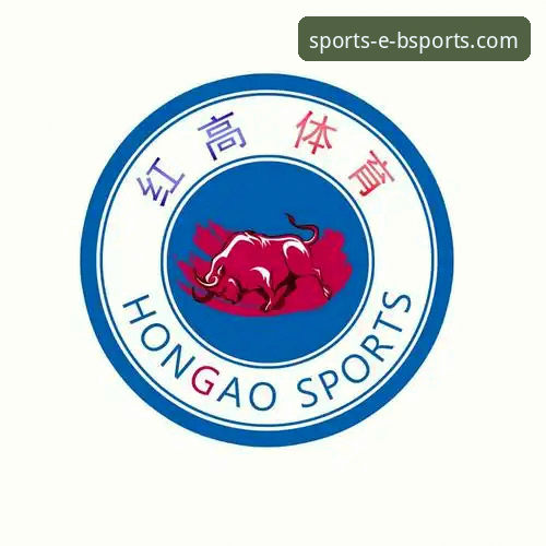 Bsports体育平台注册入口详解：从零开始的完整操作指南